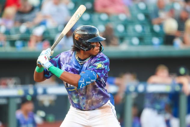 Columbia Fireflies infielder Austin Charles