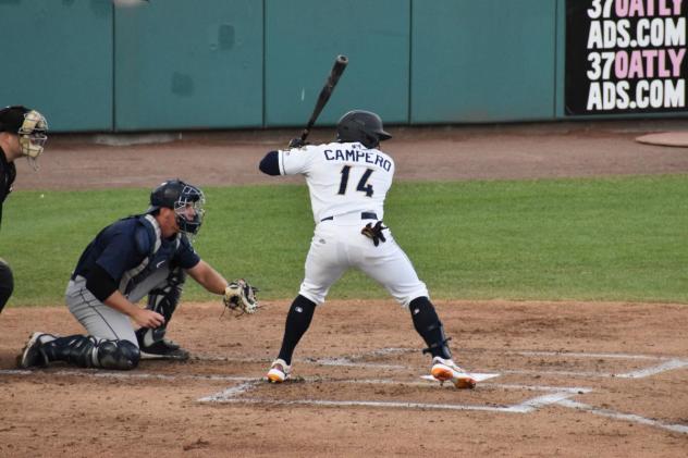 Tri-City Dust Devils catcher Gustavo Campero at bat