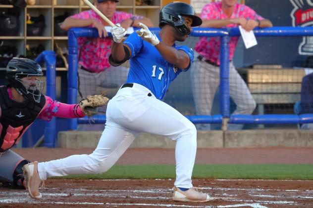 Biloxi Shuckers' Zavier Warren at bat