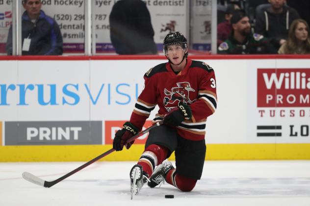 Tucson Roadrunners forward Cameron Hebig