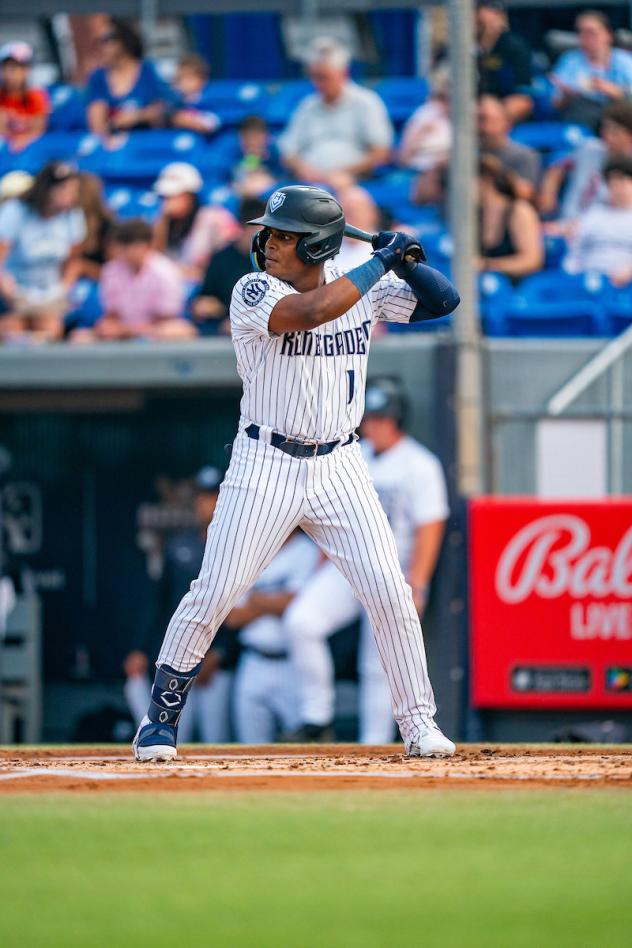 Hudson Valley Renegades outfielder Christopher Familia