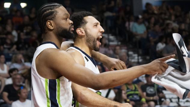 Niagara River Lions react against the Brampton Honey Badgers