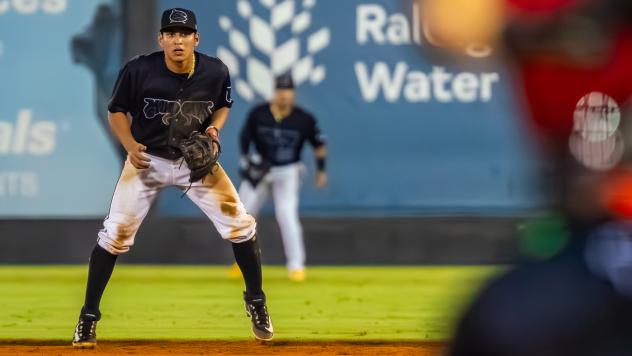 Carolina Mudcats' Jadher Areinamo on game night