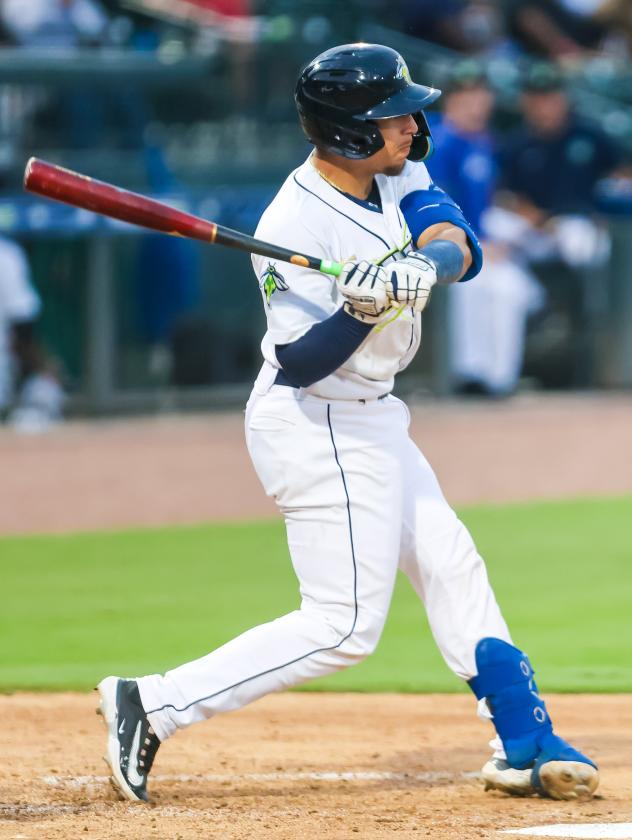 Columbia Fireflies' Omar Hernandez at bat
