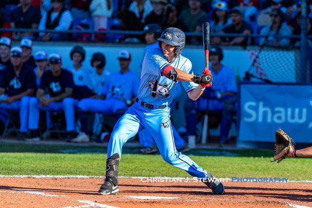 Victoria HarbourCats' Hudson Shupe at bat
