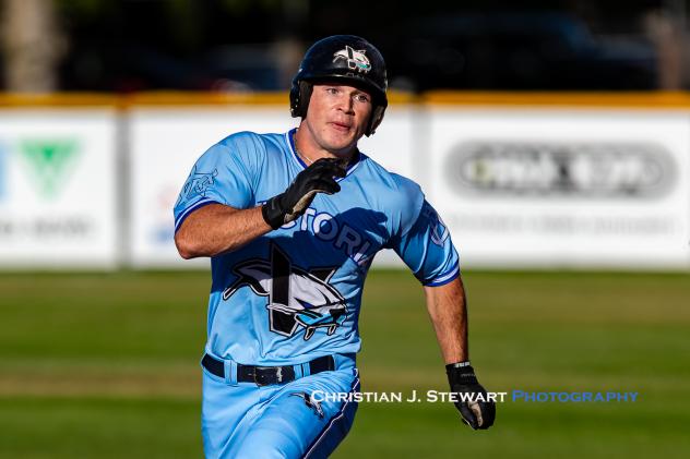 Victoria HarbourCats' Dallas Macias in action