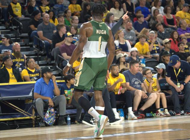 Saskatchewan Rattlers' Michael Nuga on game night