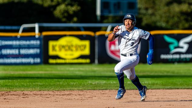 Victoria HarbourCats' Jesse Brown on game day