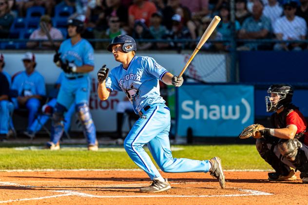 Victoria HarbourCats' Tyler Davis at bat