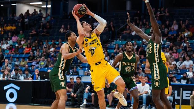 Edmonton Stingers' Brody Clarke in action