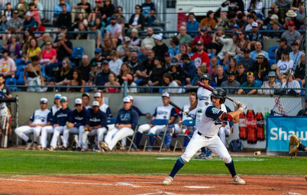 Victoria HarbourCats at bat