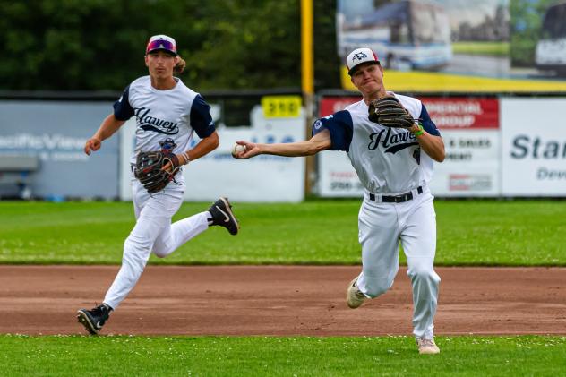 Victoria HarbourCats' Jack Johnson in action