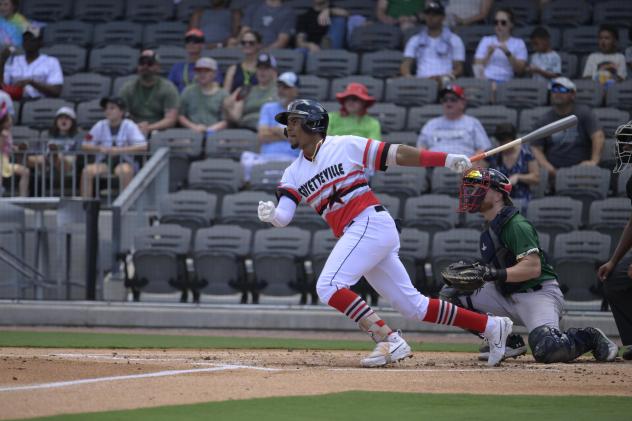 Fayetteville Woodpeckers stroke a hit