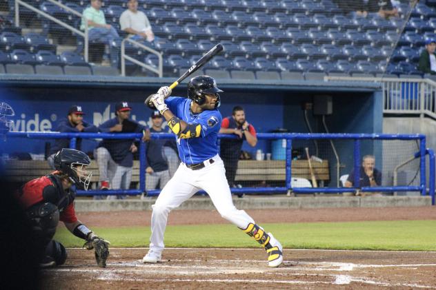 Biloxi Shuckers' Jackson Chourio at bat