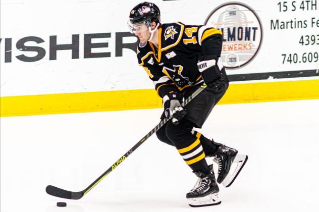 Wheeling Nailers forward David Jankowski