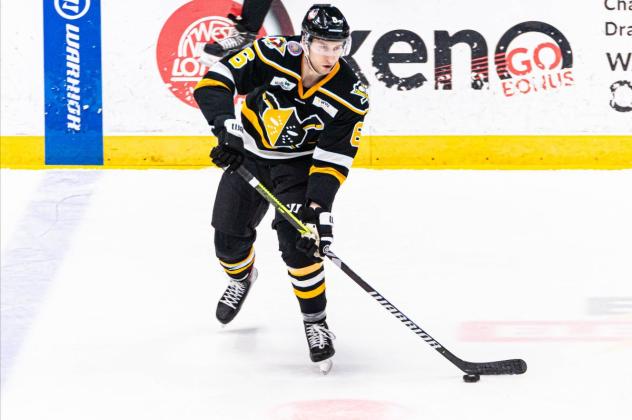 Wheeling Nailers defenseman Sebastian Dirven