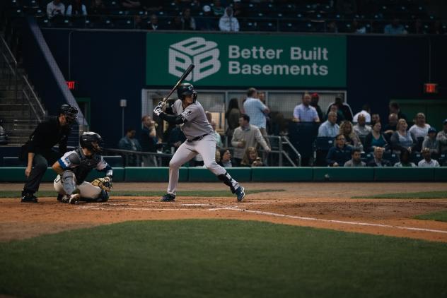 Somerset Patriots' Tyler Hardman in action