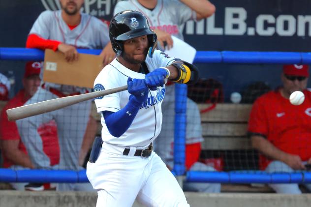 Biloxi Shuckers' Jackson Chourio at bat