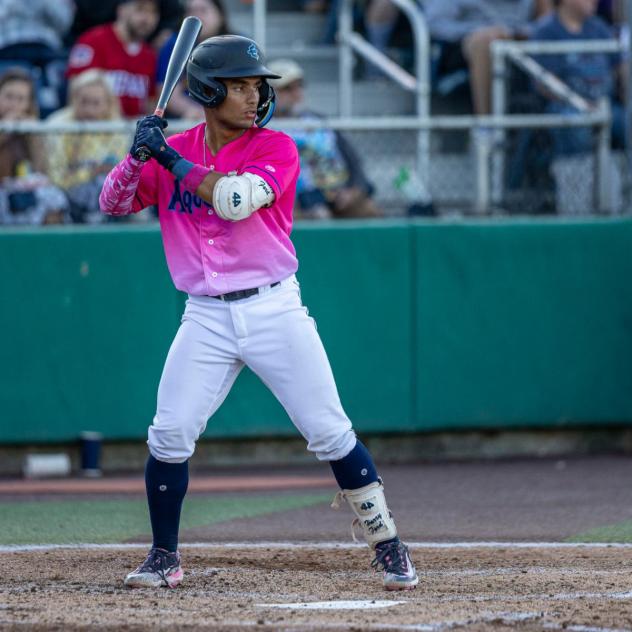 Everett AquaSox in their Pink at the Park jerseys