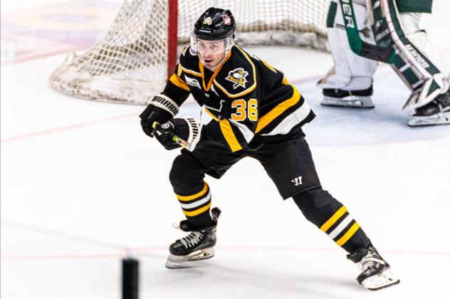 Wheeling Nailers forward Matt Koopman