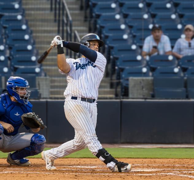 Tampa Tarpons at bat