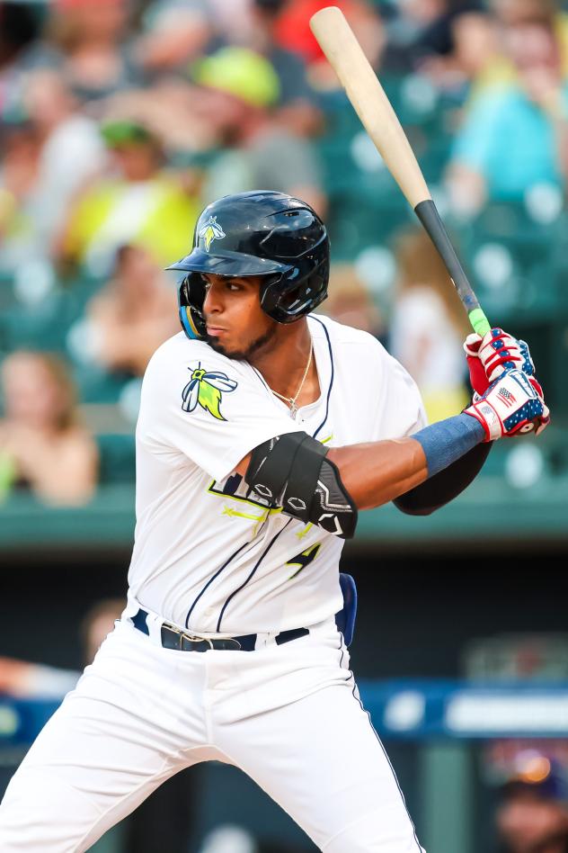 Columbia Fireflies' Erick Pena at bat