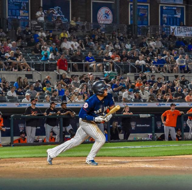 Somerset Patriots' Jeisson Rosario at bat
