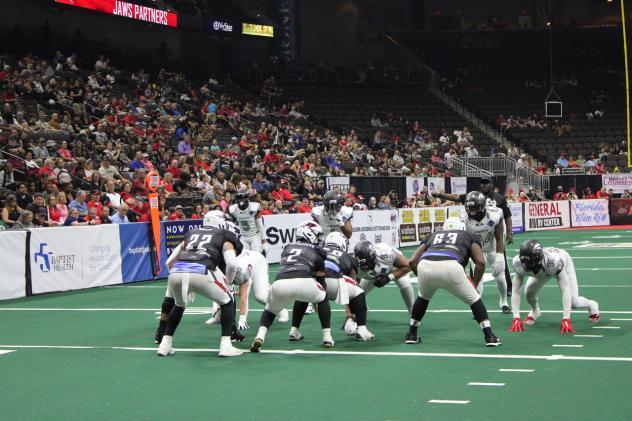 Jacksonville Sharks in action