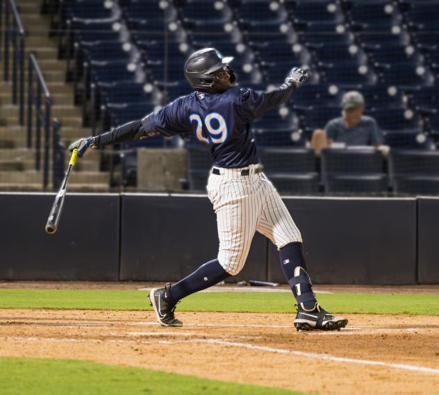 Tampa Tarpons' Felix Negueis at bat