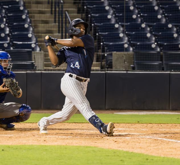 Tampa Tarpons' Daury Arias in action