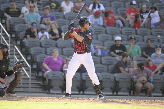 Fayetteville Woodpeckers at bat