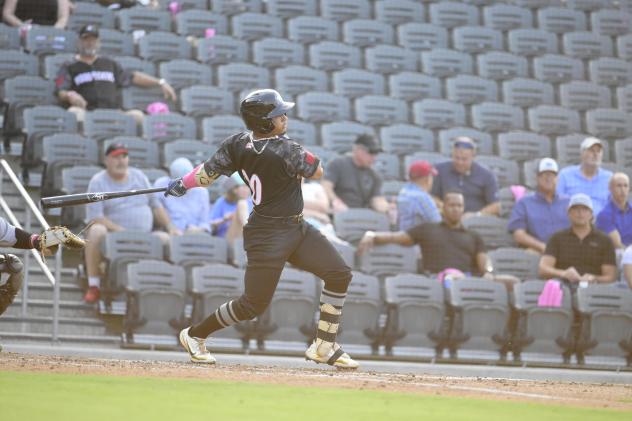 Fayetteville Woodpeckers at bat
