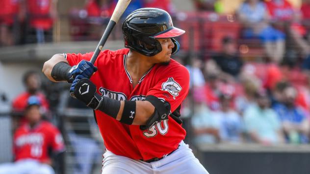 Carolina Mudcats infielder Jesus Chirinos