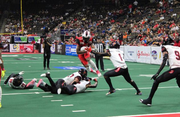 Jacksonville Sharks slice through the Orlando Predators defense