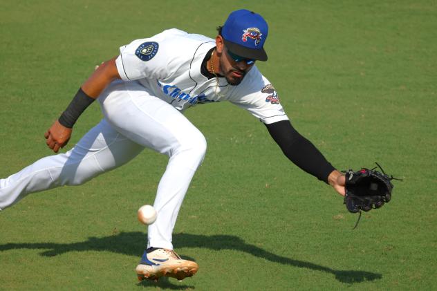 Biloxi Shuckers' Freddy Zamora in action