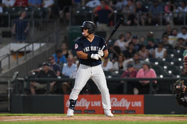 Somerset Patriots left fielder Jasson Dominguez