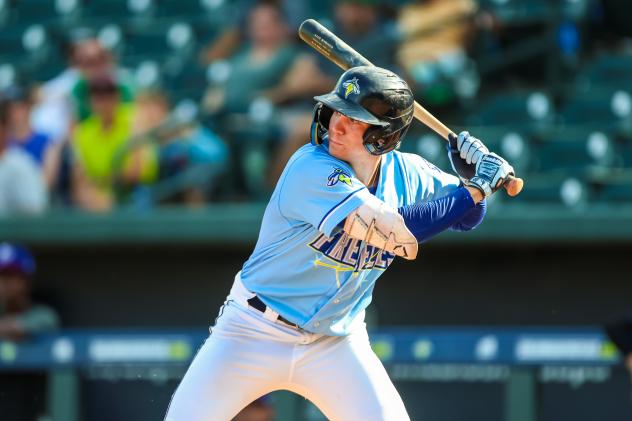 Columbia Fireflies' Brett Squires at bat