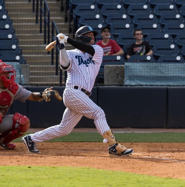 Tampa Tarpons' Ryan Leitch at bat