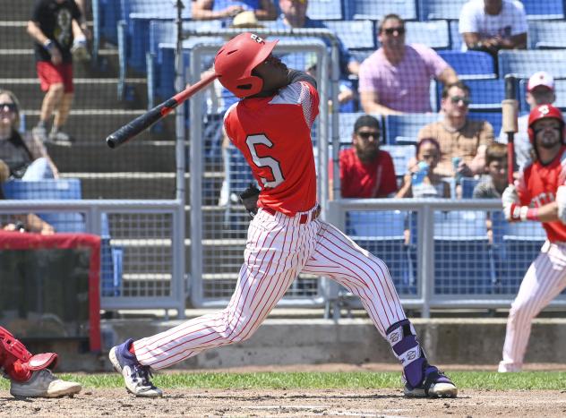 Ottawa Titans' Austin Davis at bat