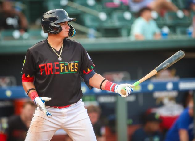 Columbia Fireflies' Dionmy Salon At Bat