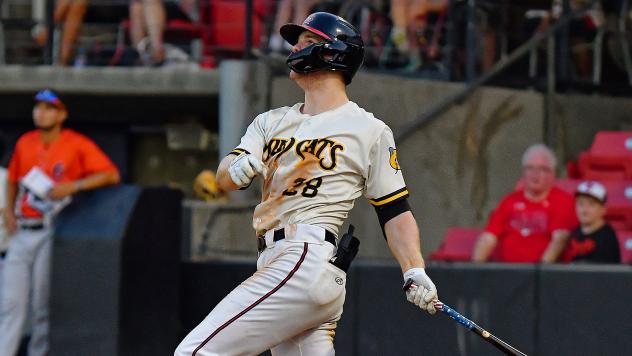 Carolina Mudcats' Luke Adams at bat