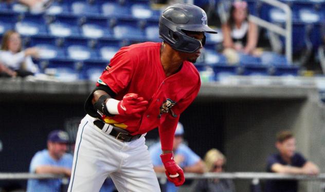 Pensacola Blue Wahoos on game night