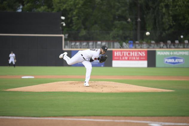 Fayetteville Woodpeckers in action