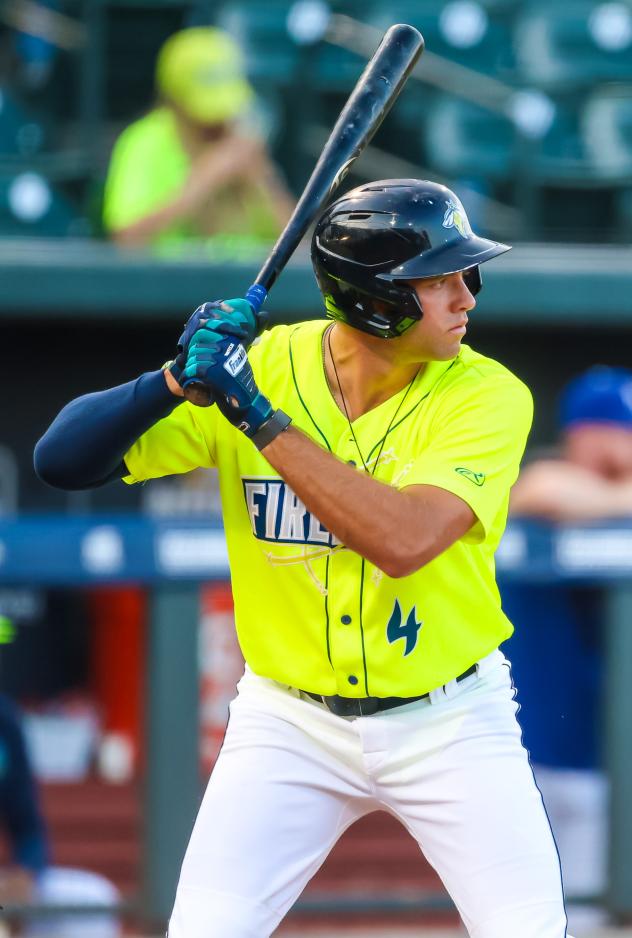 Columbia Fireflies' Trevor Werner At Bat
