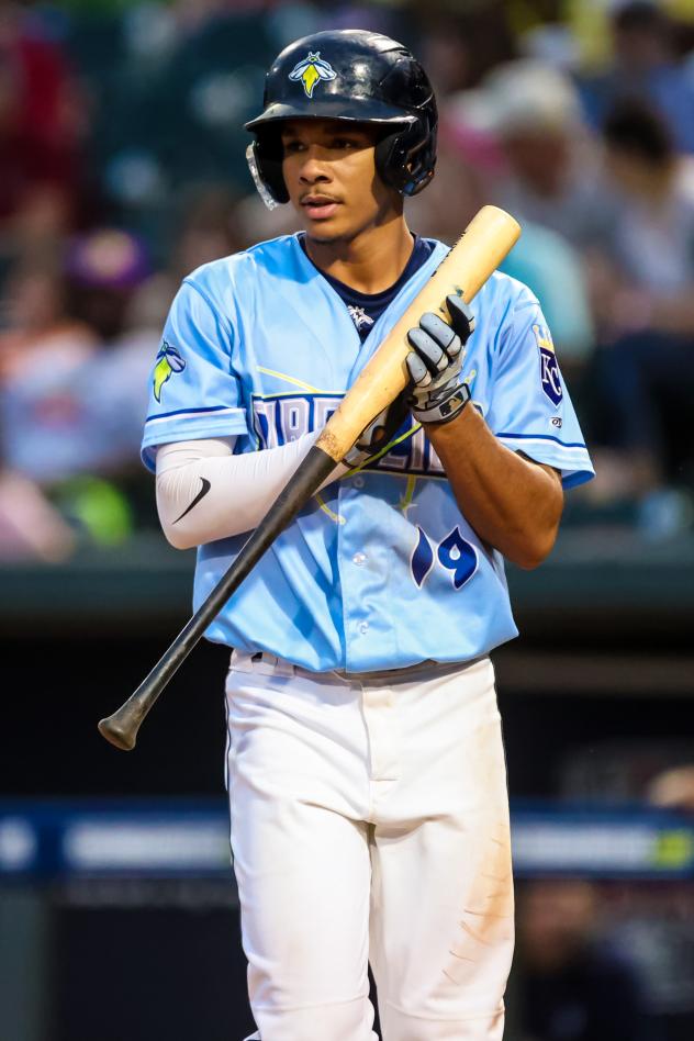 Columbia Fireflies' Lizandro Rodriguez