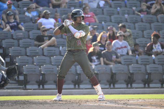 Fayetteville Woodpeckers' Luis Baez at bat