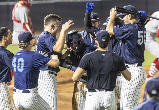 Tampa Tarpons celebrate win