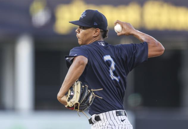 Tampa Tarpons' Yorlin Calderon in action