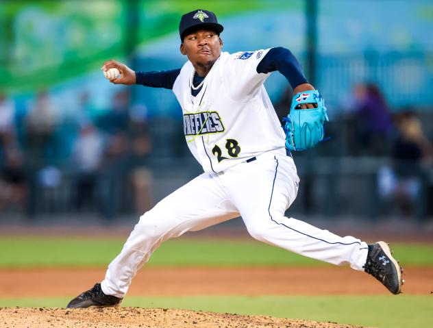 Columbia Fireflies' Emmanuel Reyes On The Mound