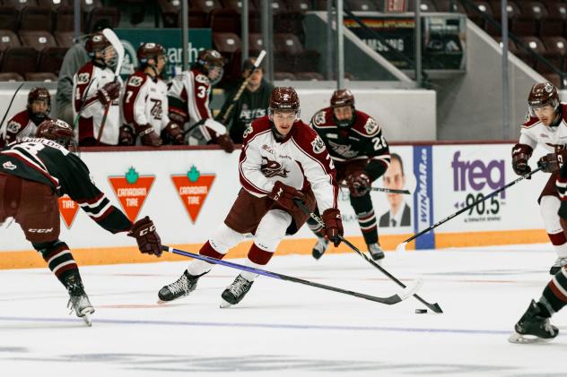 Peterborough Petes scrimmage